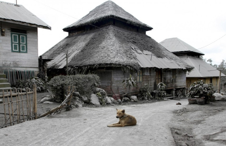 Sinabung