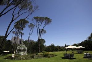 Leafy Stellenbosch's wine making district