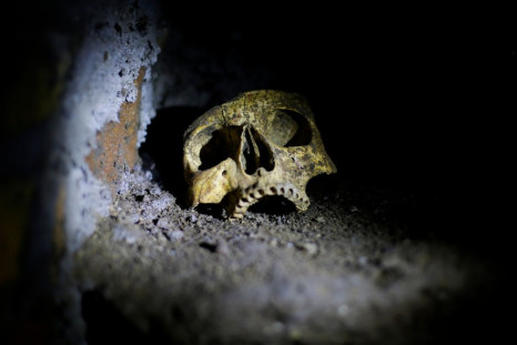 A skull is pictured inside the catacomb of Priscilla, an ancient underground burial places under Rome. (Photo: REUTERS/Max Rossi)