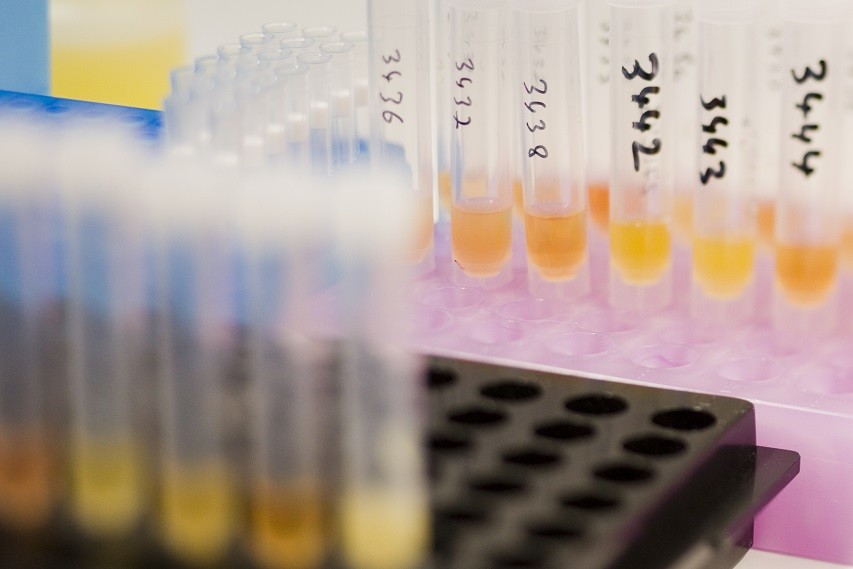 Sochi Winter Olympics doping regime will be toughest ever, vows IOC PIC: Reuters Sochi Winter Olympics doping regime will be toughest ever, vows IOC PIC: Reuters