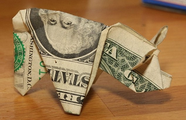 Pig1