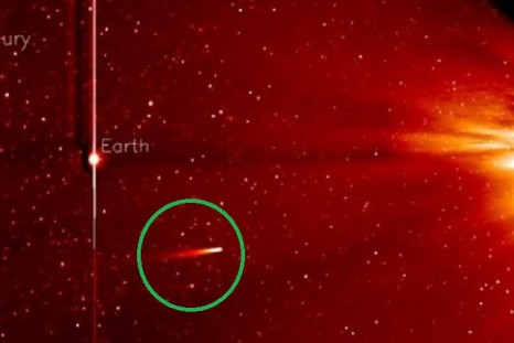Comet Ison (circled) on course to the Sun (right)