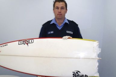 Teenager Zac Young was killed in New South Wales’ first shark attack since 2008. (Reuters)