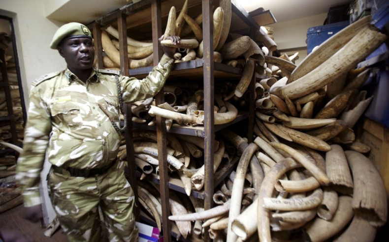 China Criminalise Ivory