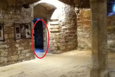 It is claimed the white shape circled is the White Woman of Rufford Abbery PIC: Nottinghamshire County Council