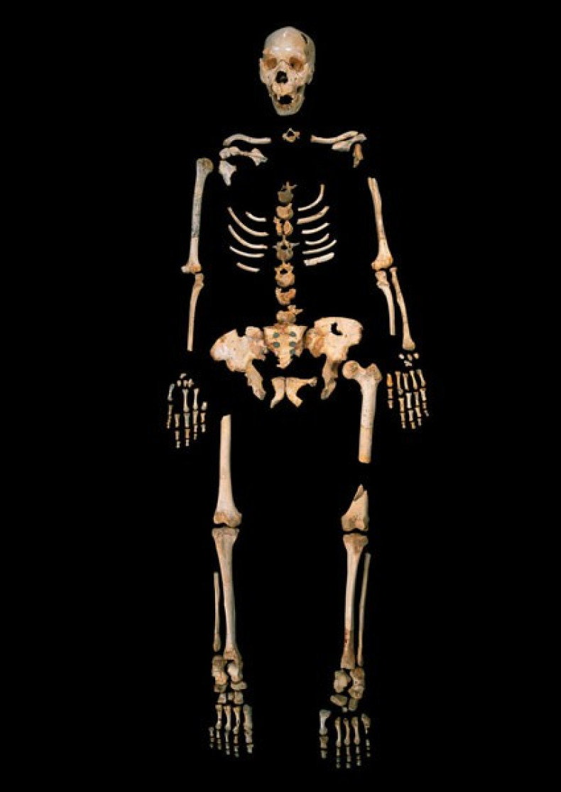 skeleton of a Homo heidelbergensis from Sima de los Huesos