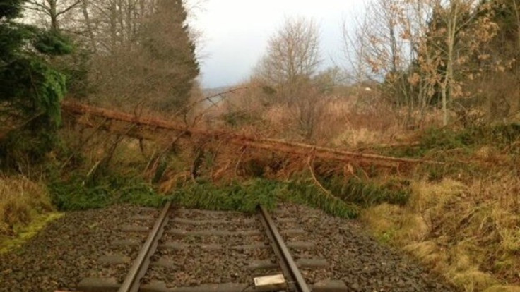 A tree on the line south of Moulinearn level crossing Credit: Twitter/@NetworkRailSCOT