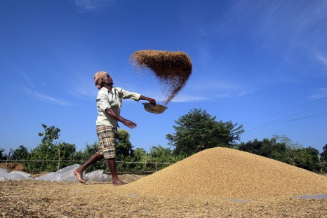 India voiced objections to WTO provisions that could have threatened its grain subsidies. (Reuters)