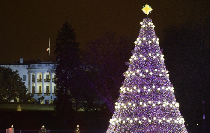 The US national Christmas tree stands in front of the White House in Washington D.C. (Reuters) The US national Christmas tree stands in front of the White House in Washington D.C. (Reuters)