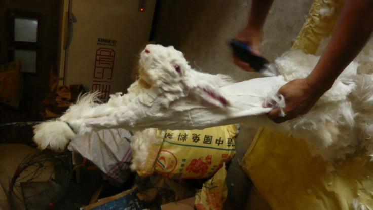 Angora Fur Trade