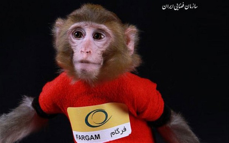Fargam the space monkey