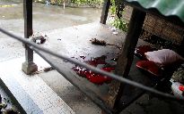 Police Shoot Dead 5 Terrorists in Bali