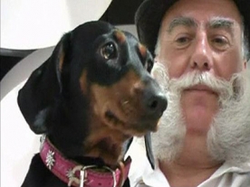 Psychic German Sausage Dog Predicts Bayern FC win