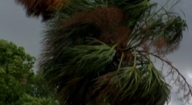 Hurricane Beryl Causes Chaos in Florida