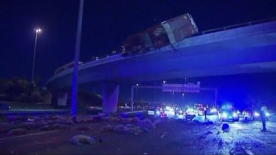 Sheep Fall from Sky in Truck Crash Melbourne Australia
