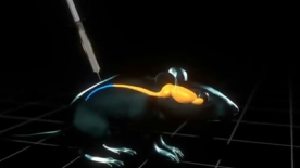 Paralysed rats 'learn to walk'