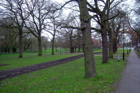 ‘Baby body parts' found in London park