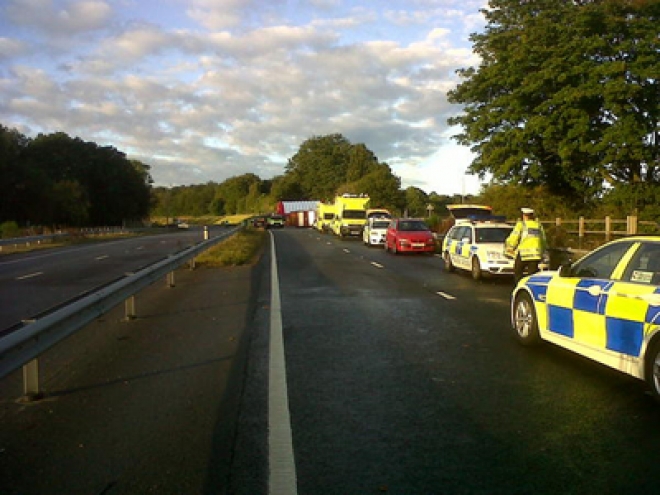 Three dead as coach smashes into oak tree in Surrey