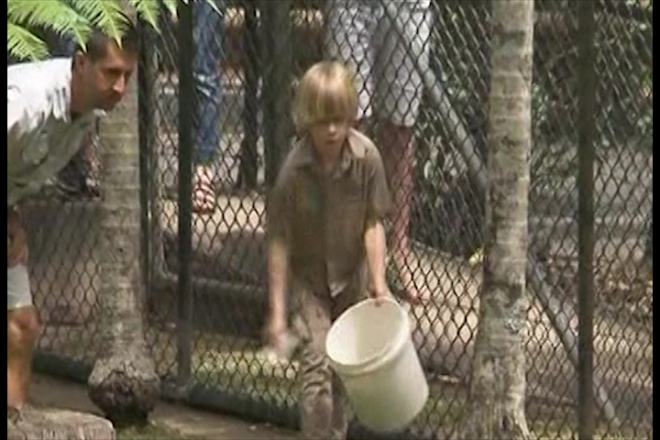 Steve Irwin’s son feeds his first crocodile