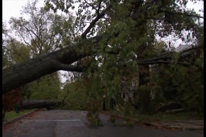 Hurricane Sandy: Washington DC begins clean-up