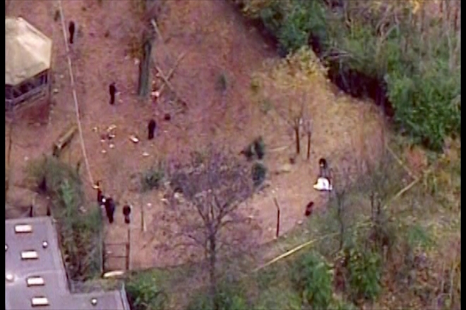 Toddler mauled to death by dogs at US zoo | IBTimes UK