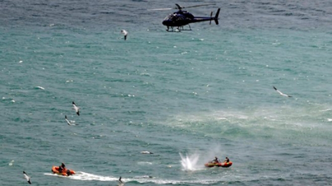 New Zealand Swimmer Adam Strange Killed By 14ft Shark Video
