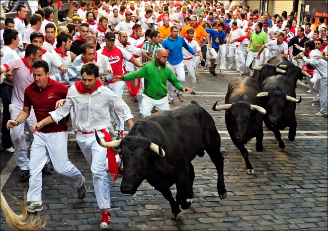 San Fermin Bull Running Begins In Pamplona