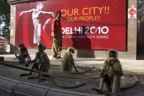 Langur monkeys sit on a pavement near Major Dhyan Chand National Stadium, one of the venues for the Commonwealth Games, in New Delhi September 28, 2010. Langur monkeys are used in parts of New Delhi to scare away other monkeys who create a menace around t
