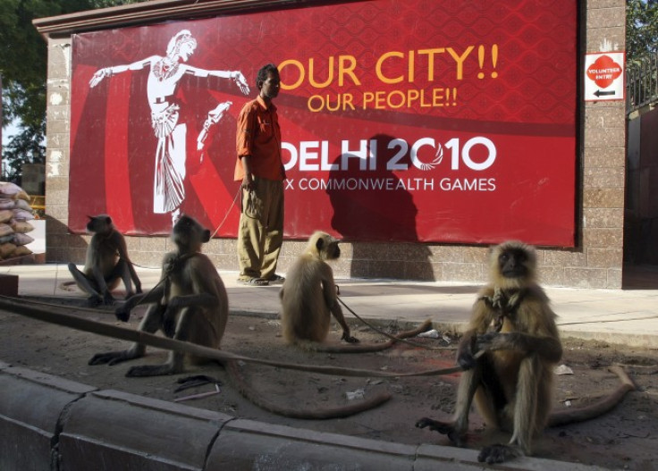 Langur monkeys sit on a pavement near Major Dhyan Chand National Stadium, one of the venues for the Commonwealth Games, in New Delhi September 28, 2010. Langur monkeys are used in parts of New Delhi to scare away other monkeys who create a menace around t