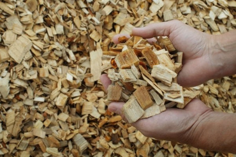Manager of IT and HR Dan Bird holds wood chips that will be made into paper pulp at the Old Town Fuel and Fiber mill in Old Town, Maine, June 2, 2009.