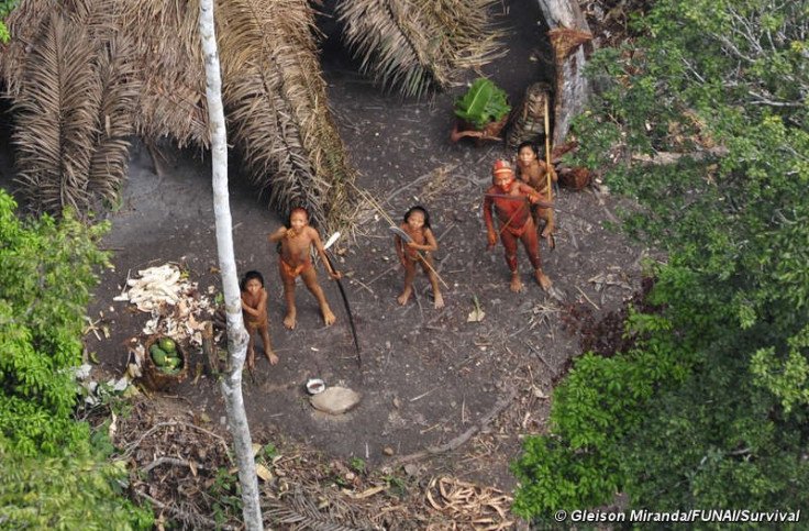 Footage of one of the world’s last “Uncontacted Tribe” in Brazil (PHOTOS)