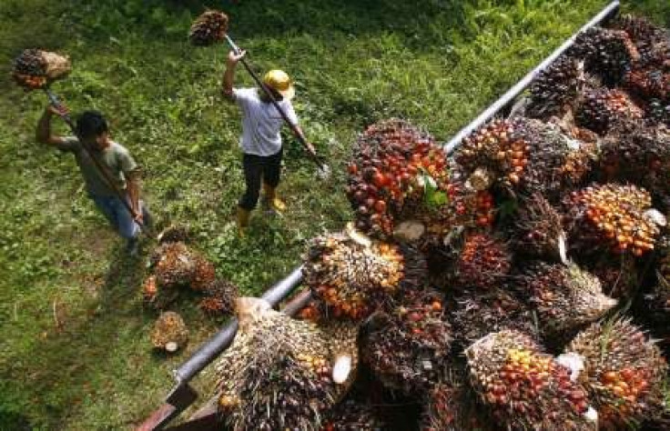 Analysis: Price boom puts palm oil on emerging markets' radar