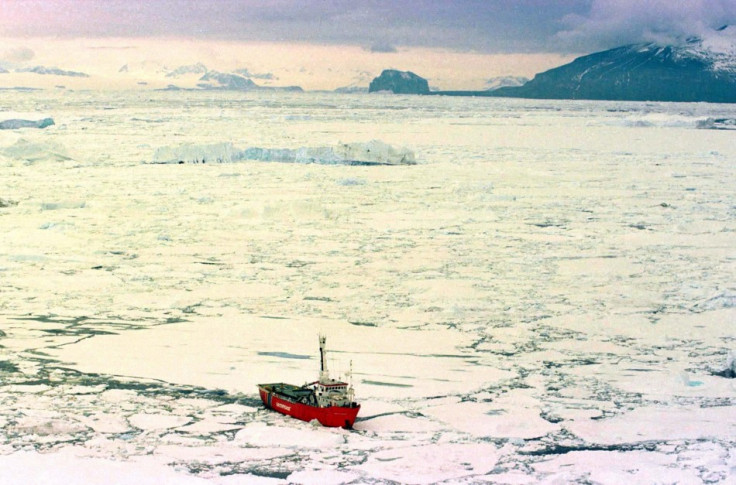 King Crabs Invade the Antarctic