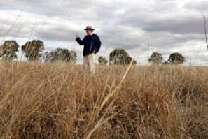 NSW drought is officially out but farmers remain wary of its return and the threat of flood