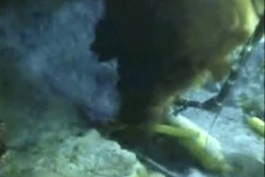 Oil gushes from a ruptured Gulf of Mexico well, in this frame grab of a live video feed released on May 20, 2010.  