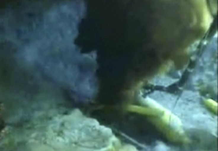 Oil gushes from a ruptured Gulf of Mexico well, in this frame grab of a live video feed released on May 20, 2010.  