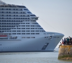 IBTPOTY2017 Pictures of the week